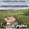 Handsome1 | - .