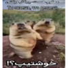 Handsome1 | - .