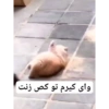 Miomio