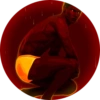 مثلي جداً (ct6d58jhxq)