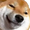 Doge meme