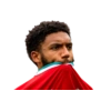FPL 8
