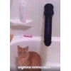 قطة ولعبة