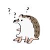 قنفذ صغير ۪ ꒰ 𝅄