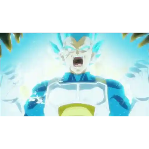 Dragon Ball (vty8wp246r)