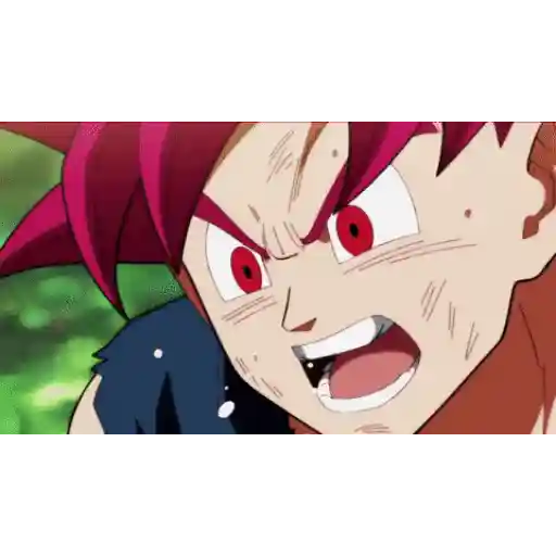 Dragon Ball (8jwqscv4zf)