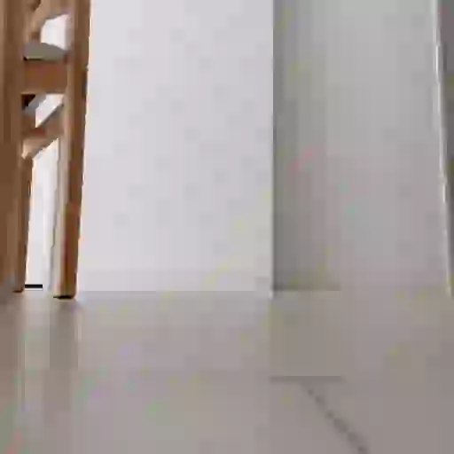 القنافذ لطيف (2jhzv3b58t)