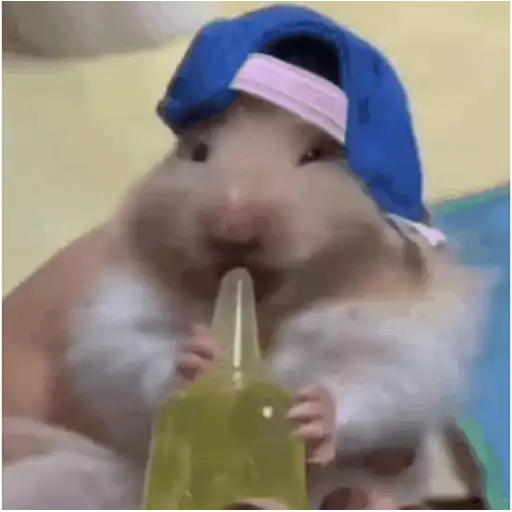 الهامستر (qgkzxvndcs)