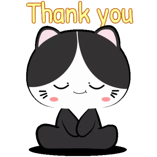 🐱Baby tuxedo cat 7🐾 (3k4vsf86qr)