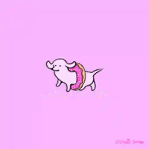 Weiner Dogs°нύεււітa (zct3kx72pq)
