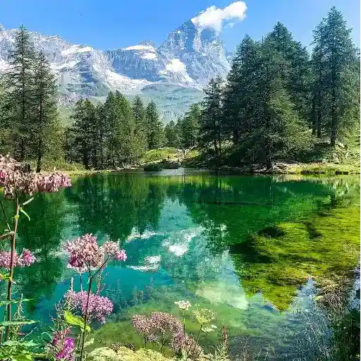 مناظر طبيعية جميلة 1 (wz2m4f53tq)