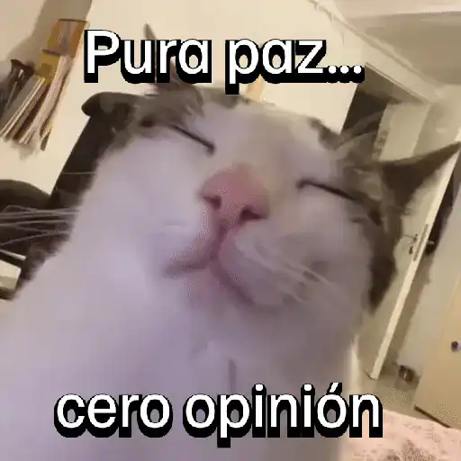 Pura paz... cero opinión (k7fb496qtz)