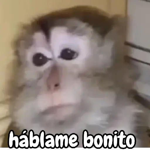 háblame bonito (z6fc27mtqg)