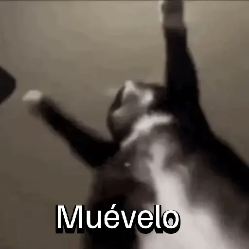 Muévelo (s7knm8dx5z)