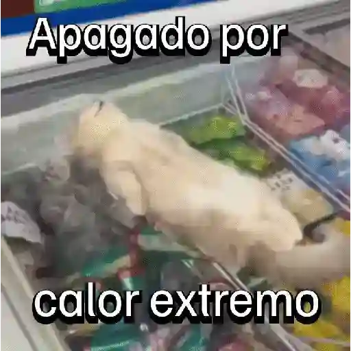 Apagado por calor extremo (w4jg9xpnsf)