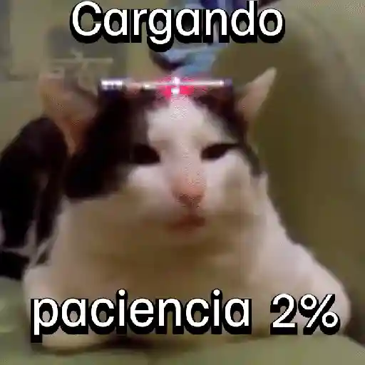 Cargando paciencia 2% (49rhxn3p6m)