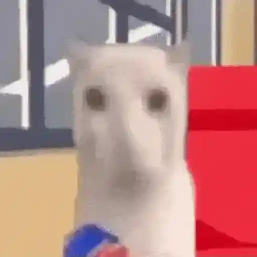 أفضل ما في SHITPOST (3ghysmv9ft)