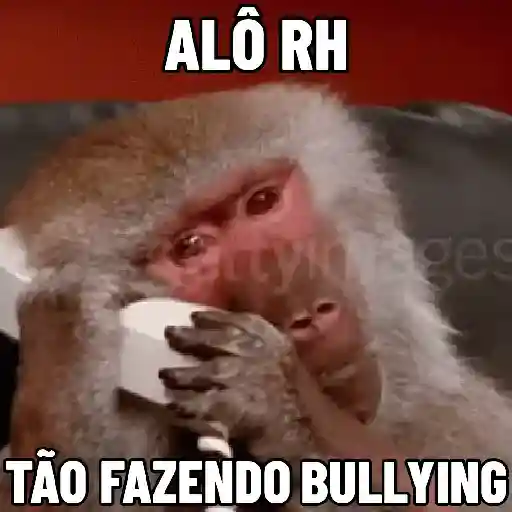 🐒 Pra mandar no trabalho (jfqtgwc5d9)