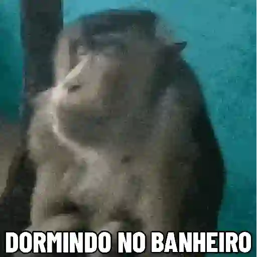 🐒 Pra mandar no trabalho (4ybtnx7ksf)