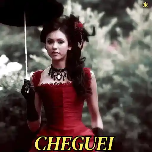 CHEGUEI (pmgcwfvj49)