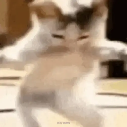 ✨💥ShiSpOST CaTS😹 (68b4kvj79y)