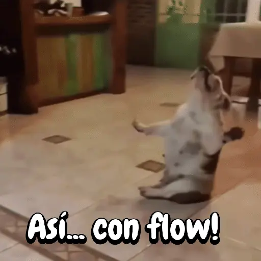 Asi... con flow! (j6g7p9zfcr)