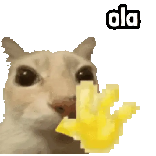 ola (kncmsgt235)