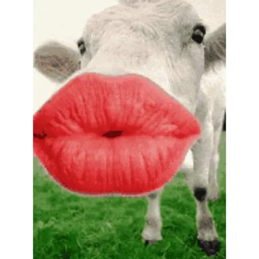 🫦💋🤣 صورة متحركة لقضم إصبعك   (78shpc32nm)