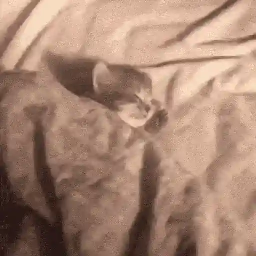 عناق جانبي ناعس (423csdqbk5)