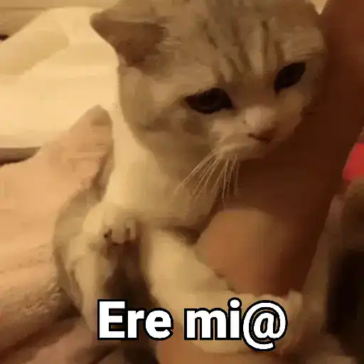 Ere mi@ (9q2nk3bjy5)