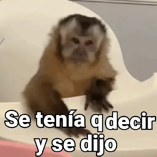 Se tenía qdecir y se dijo (9xj85sdv3t)
