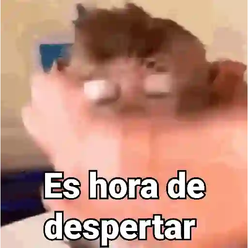 Es hora de despertar (4wpzg7bmfh)