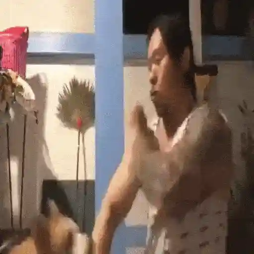 [FUNNY FAILS]  ️ (fkh975mbtp)