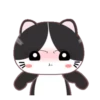 ⋳Tuxedo≛Cɑt⋻ (f2cwmpx9q6)