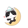 ⋳Tuxedo≛Cɑt⋻ (39rkfnqd6z)