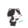 ⋳Tuxedo≛Cɑt⋻ (4swj3fbp57)