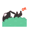⋳Tuxedo≛Cɑt⋻ (b96jqg8stf)