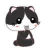 ⋳Tuxedo≛Cɑt#2⋻ (4zvmkwpbx5)