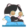 ⋳Tuxedo≛Cɑt⋻ (s84xmn7jv3)