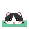 ⋳Tuxedo≛Cɑt#3⋻ (87jbkgz354)