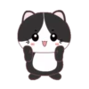⋳Tuxedo≛Cɑt#4⋻ (4rkp3vwnyh)