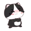 ⋳Tuxedo≛Cɑt#4⋻ (r4tqx7zs6j)