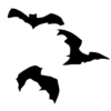 خفافيش طائرة