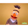 Muppets (2mwzs53v67)