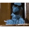 Muppets (prn6k4f5m9)