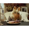 Muppets (798nfg2bjc)