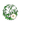 العاب ناريه (ythc465fqz)