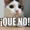 ✔1🐱GATITOS(frases)🔊🇵🇪mov (yg8fbnmz7q)