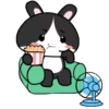 ⋳Tuxedo≛Rɑbbit⋻ (4hctk5mxby)