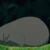 للنوم (mkjyhs5xp4)